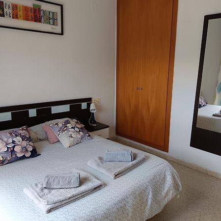 Disfruta Granada,Incluso Con Tu Mascota Parking公寓 外观 照片